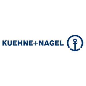 Kühne + Nagel (AG & Co.) KG Beschädigtes digitales Bild mit blauen Streifen