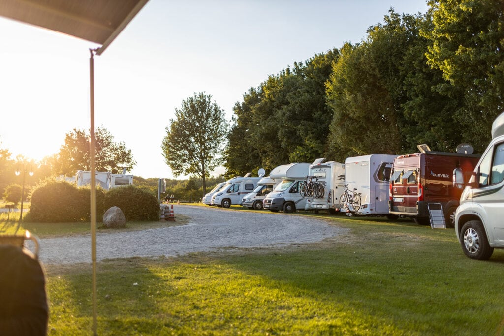 Motorhomes parked on a sunny campsite