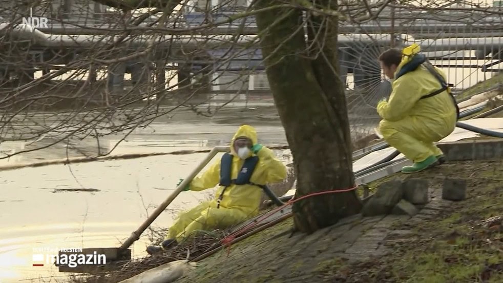Menschen in gelben Schutzanzügen und FFP-3-Masken versuchen Öl vom der Wasseroberfläche des Nord-Ostseekanals zu schöpfen.